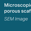 StimLabs - Corplex P